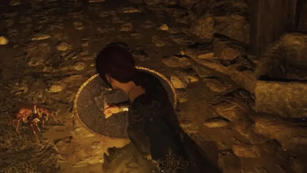 How To Get Spider Venom Sac in Dragon's Dogma 2?