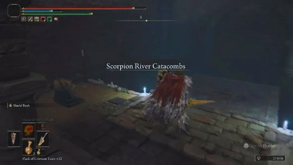 Get to Scorpion River Catacombs in Shadow of the Erdtree